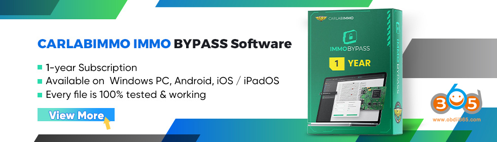 Immo Bypass Software