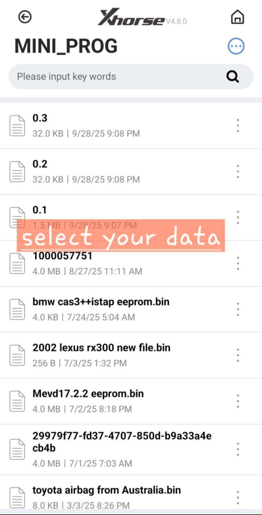 Xhorse Compare Bmw Fem Bdc Files 4