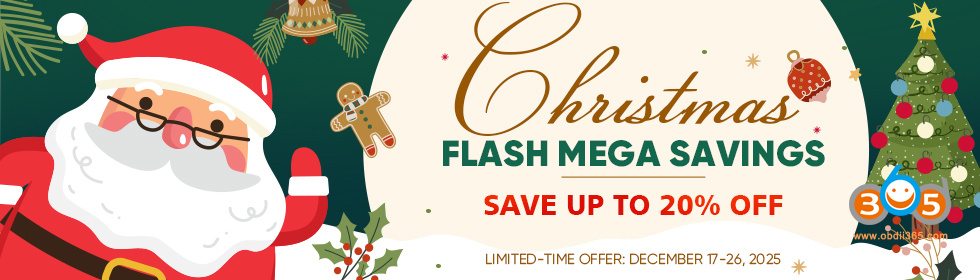 2025 Xmas Flash Sale