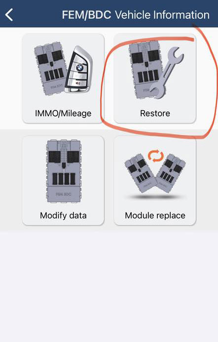 yanhua acdp bmw fem version not support 2
